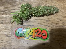 835F0C17-2630-4A67-9642-02049E2CF8E1