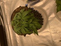 9189B812-E828-4673-8F06-2D18C9E232EB