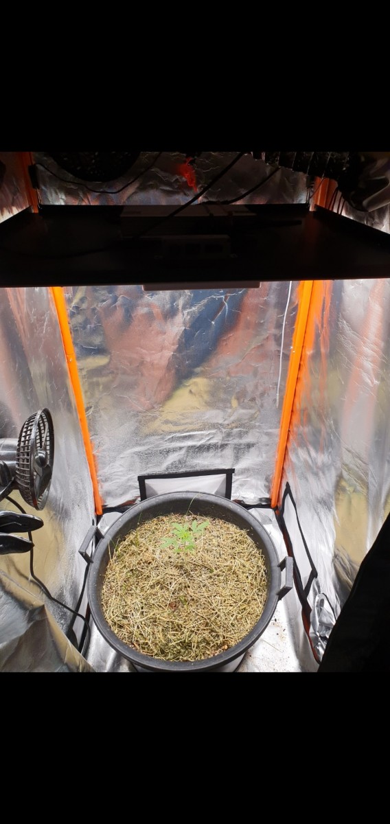 Screenshot_20211211-185755_Gallery