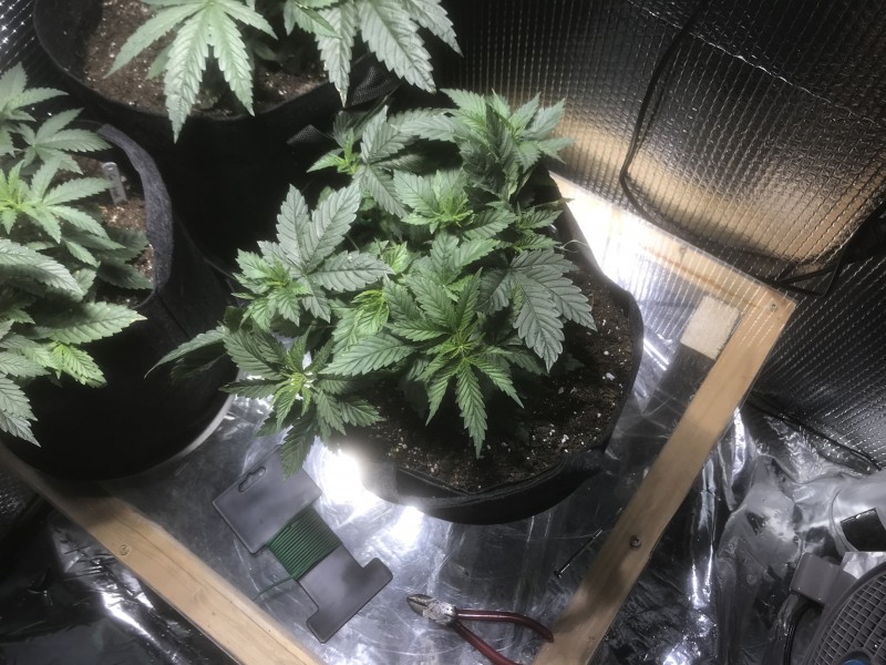 965DF3D6-6824-4C7E-97EF-92340B32FCC0