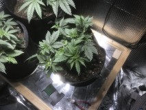 965DF3D6-6824-4C7E-97EF-92340B32FCC0