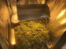 866B3100-6925-486C-8AEF-B44A15B5B068