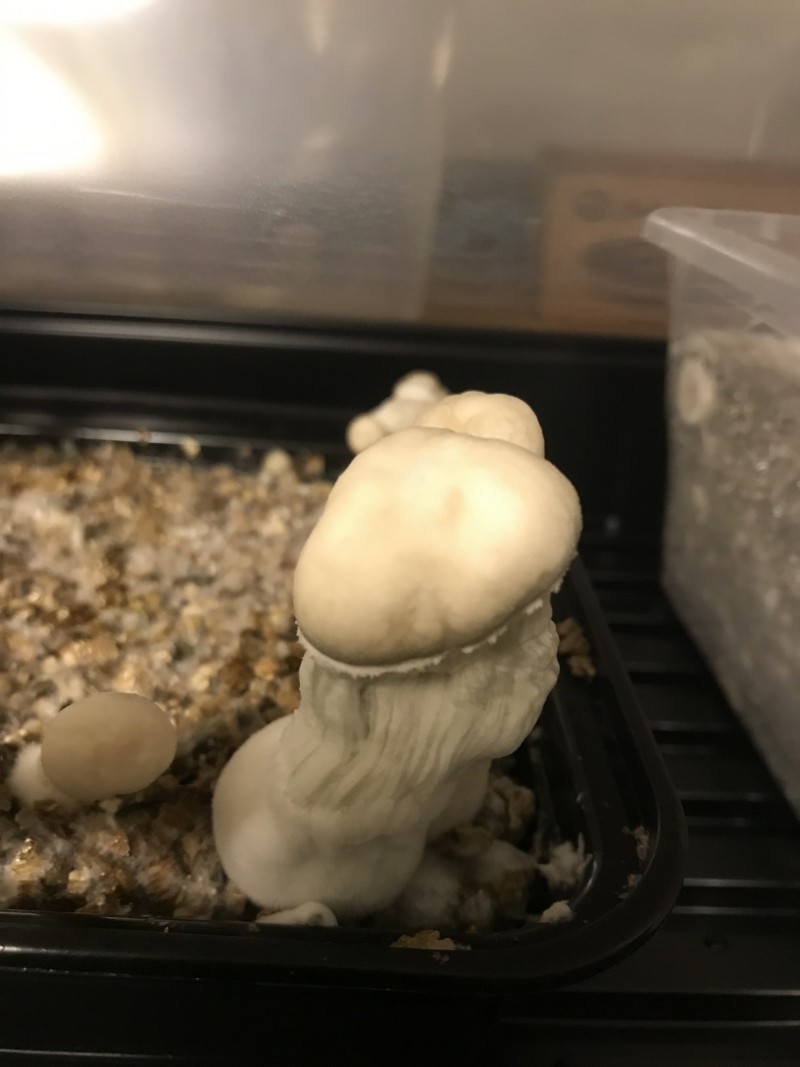 7B9BA95D-D478-4CA9-94F1-906ADD71DFCA