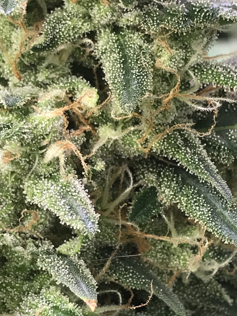 153C6F3D-7E0E-4629-8E45-E4DD0EFA366F