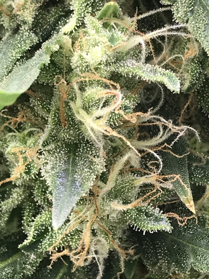 9CFD22EA-7977-4BDA-83A1-F3BBDF2483CE