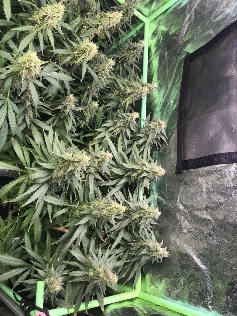 A538BE4B-A2F8-416C-9414-345FA533E5CC