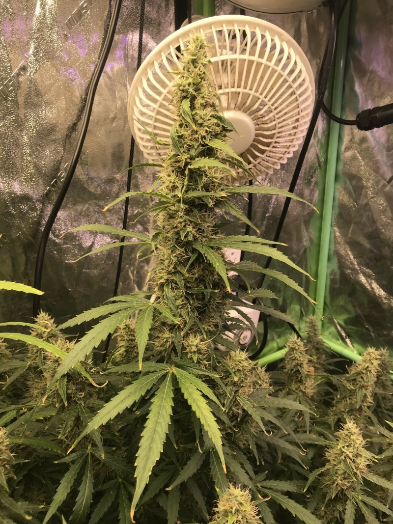 1B7CFFFE-4F8D-4078-8438-104C4FD0E862