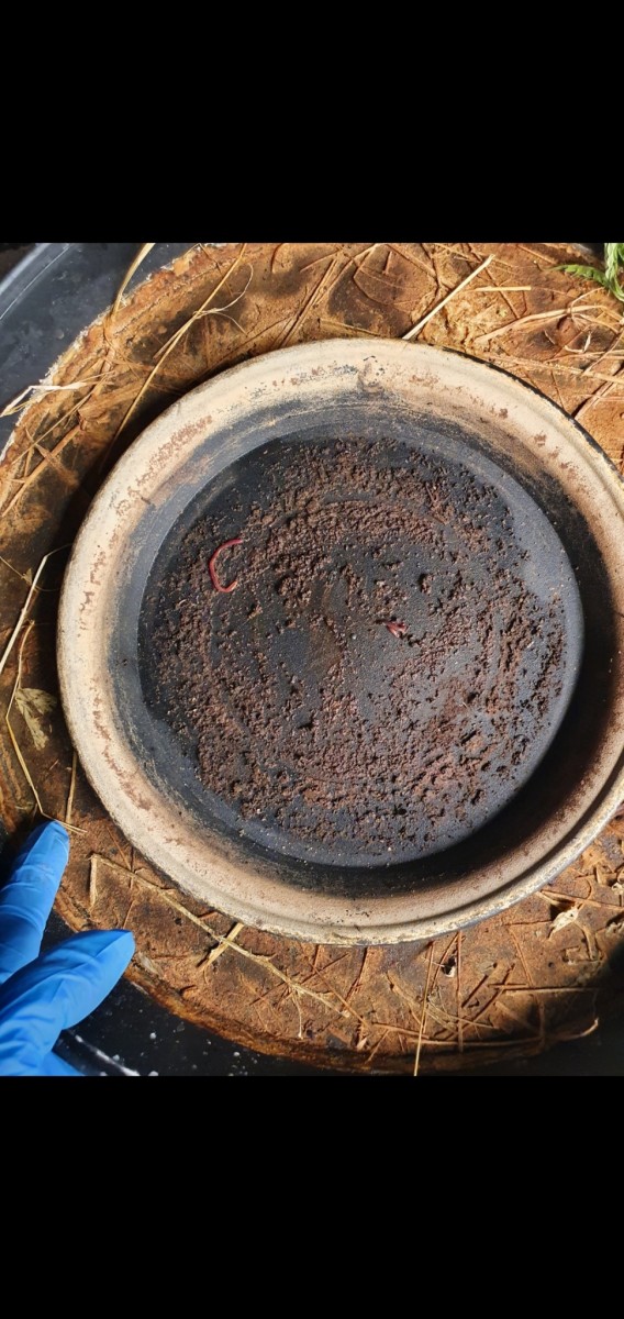 Screenshot_20211215-132325_Gallery