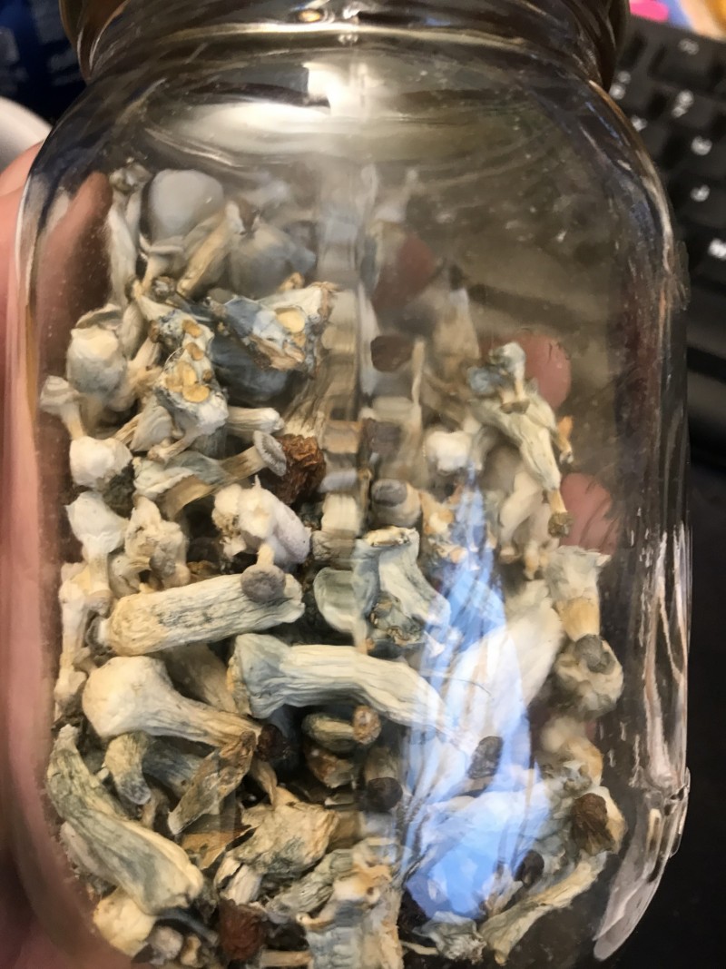 AAD9EE8B-DF5D-4153-A978-21B533A3C159