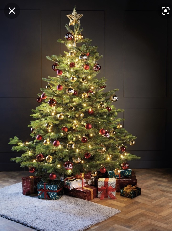 20EB06E0-2A2E-4C1C-8498-0C9661AF5D30