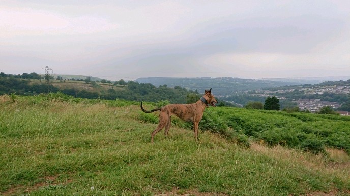 obscura1639654832518