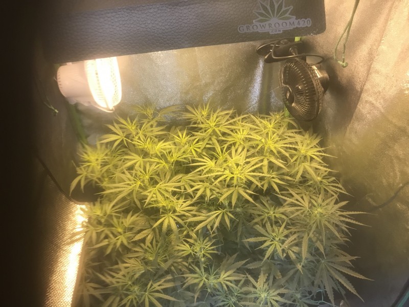 7B6A98BA-B1D2-49E6-9787-F20A5ABF8B22