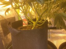 89DA07EF-F29A-4D45-AEDE-CECDE59C1D03