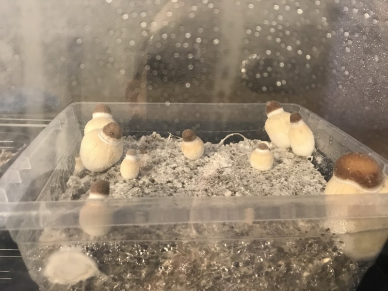 7C18935E-A4B0-4778-B217-09F47BA5C701