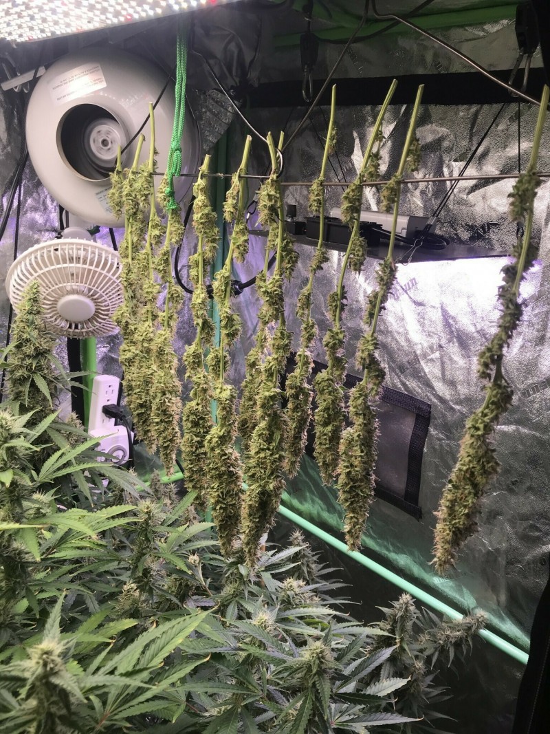 3F36DBF9-DE26-4B11-A779-CAFFF2E02F4F