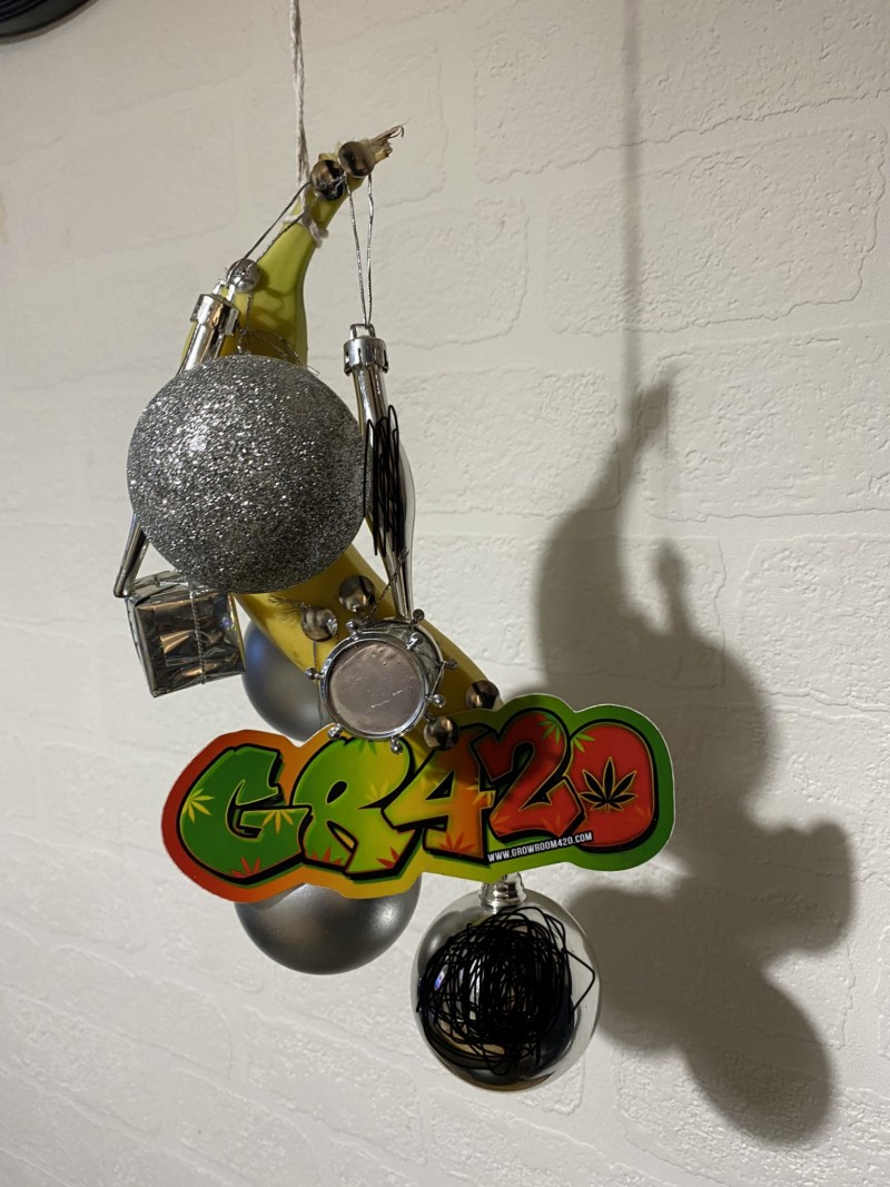 9590650C-6BE7-4BBB-8E87-460B09978FCA