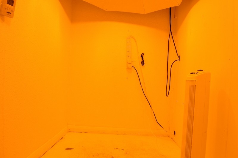 Groom in waiting (3) (800x532)