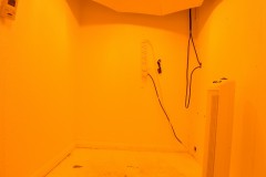 Groom in waiting (3) (800x532)