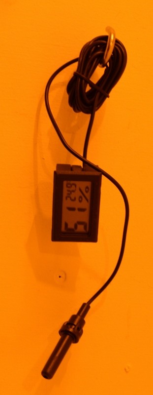 Groom in waiting (1) (311x800)