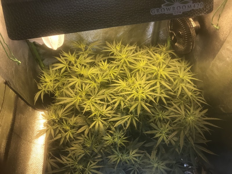 2EBEFB34-1C36-4D91-A3F1-4A7E63C3CE6E