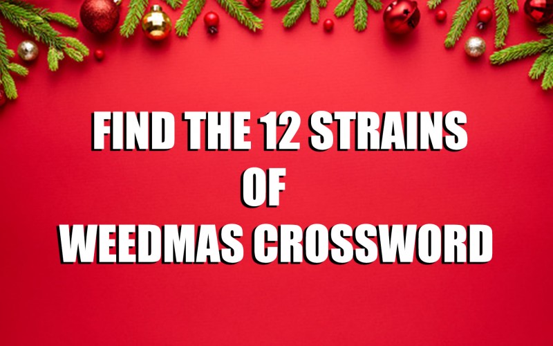12 STRAINS OF WEEDMAS