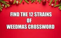 12 STRAINS OF WEEDMAS