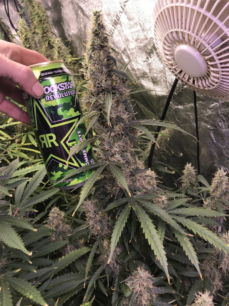 122A6ACB-B4A6-4FC8-B414-0864CCB4FAEE