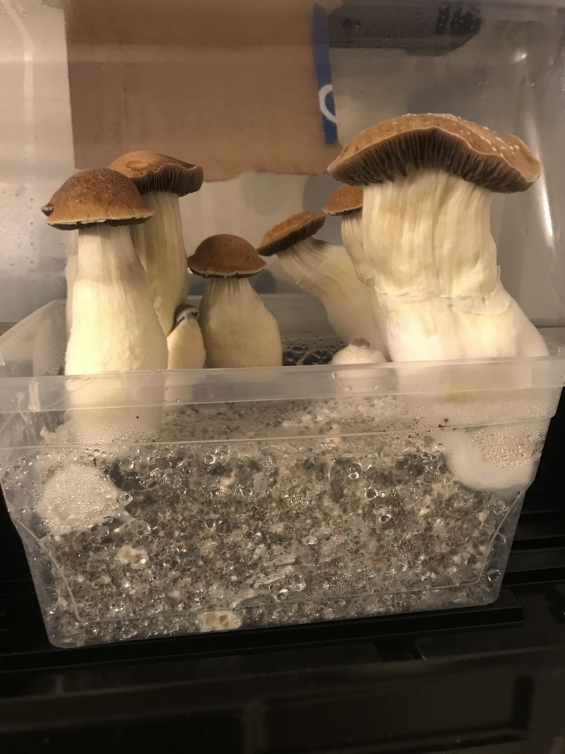 3AE44186-390F-48C9-A748-447A5AFF0ED3