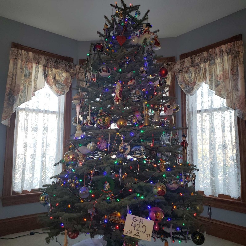 16401071240925456887048737967567