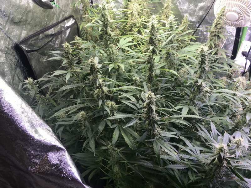 B93F4890-F467-41C1-9961-E046C4A574EE