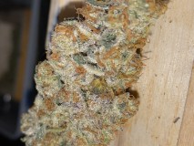 8AD0CAEF-229B-400D-9F19-5883F4F943B9