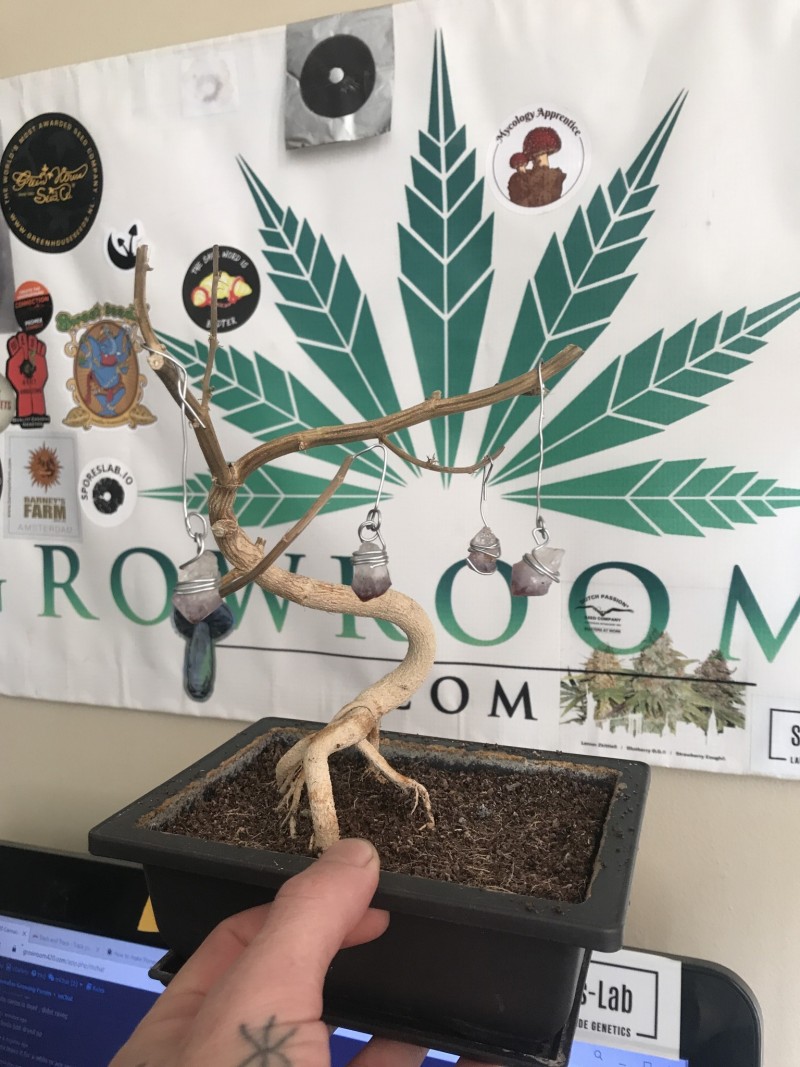 26242081-4B51-4044-990B-C7A02775EE68