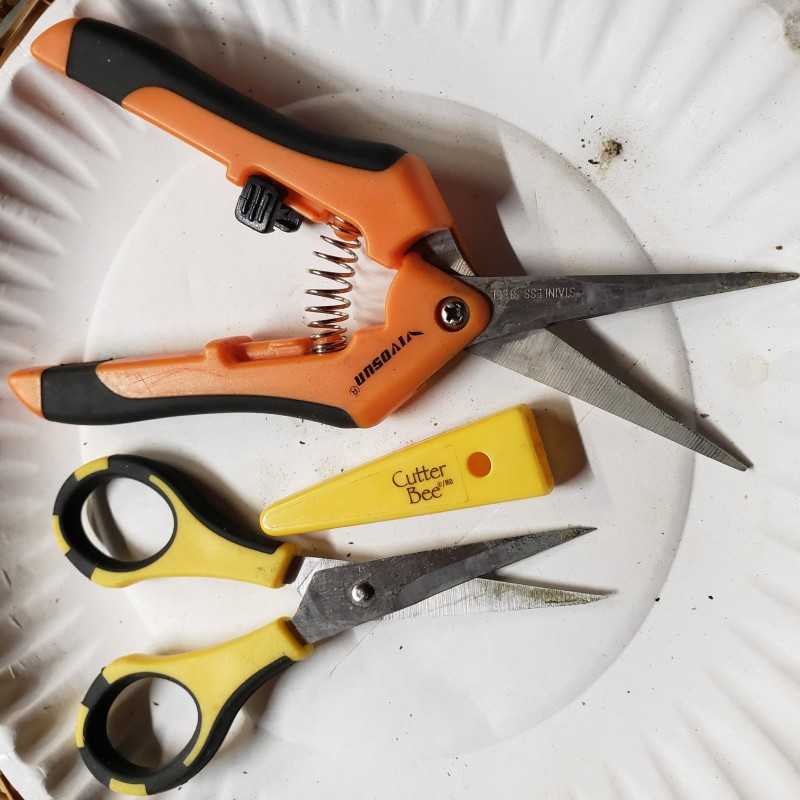 16402872185711720849921136935648