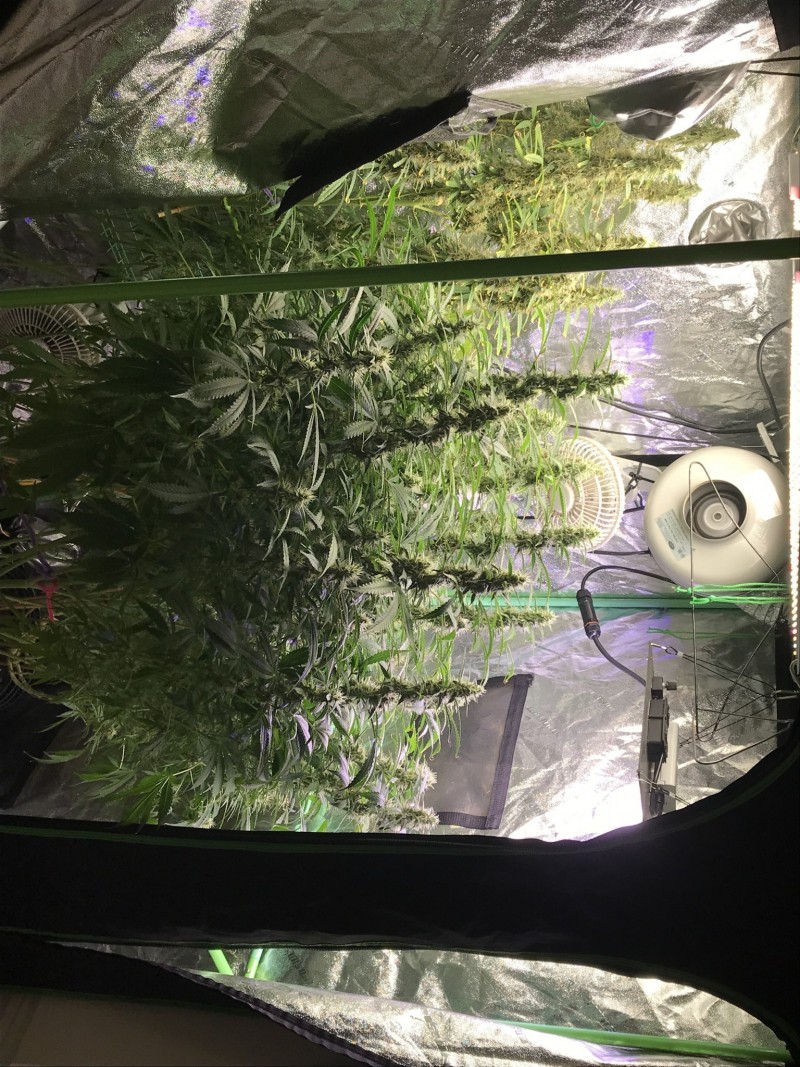 532C814D-EF5A-42FA-8529-6121E2B2DF8D