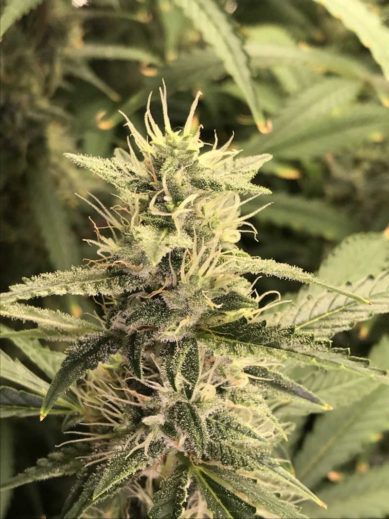 9C6E1BCA-0FC2-46BD-818F-A2876DBA95D1