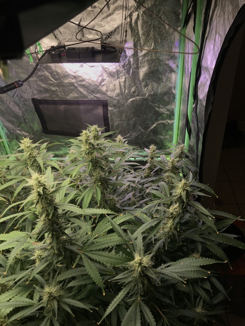 87DD844A-E5DB-45CE-BDD5-6118E4B2FC00