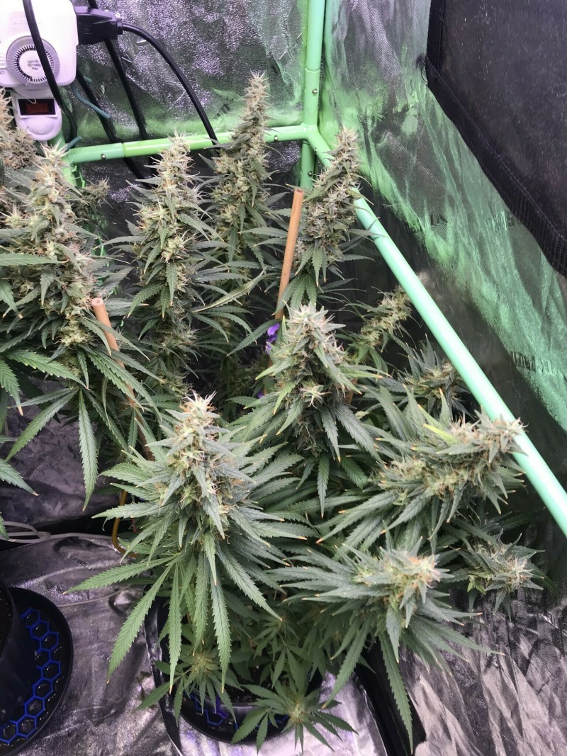 EDADF9F3-47B2-4800-ADD8-117BBFC619AD