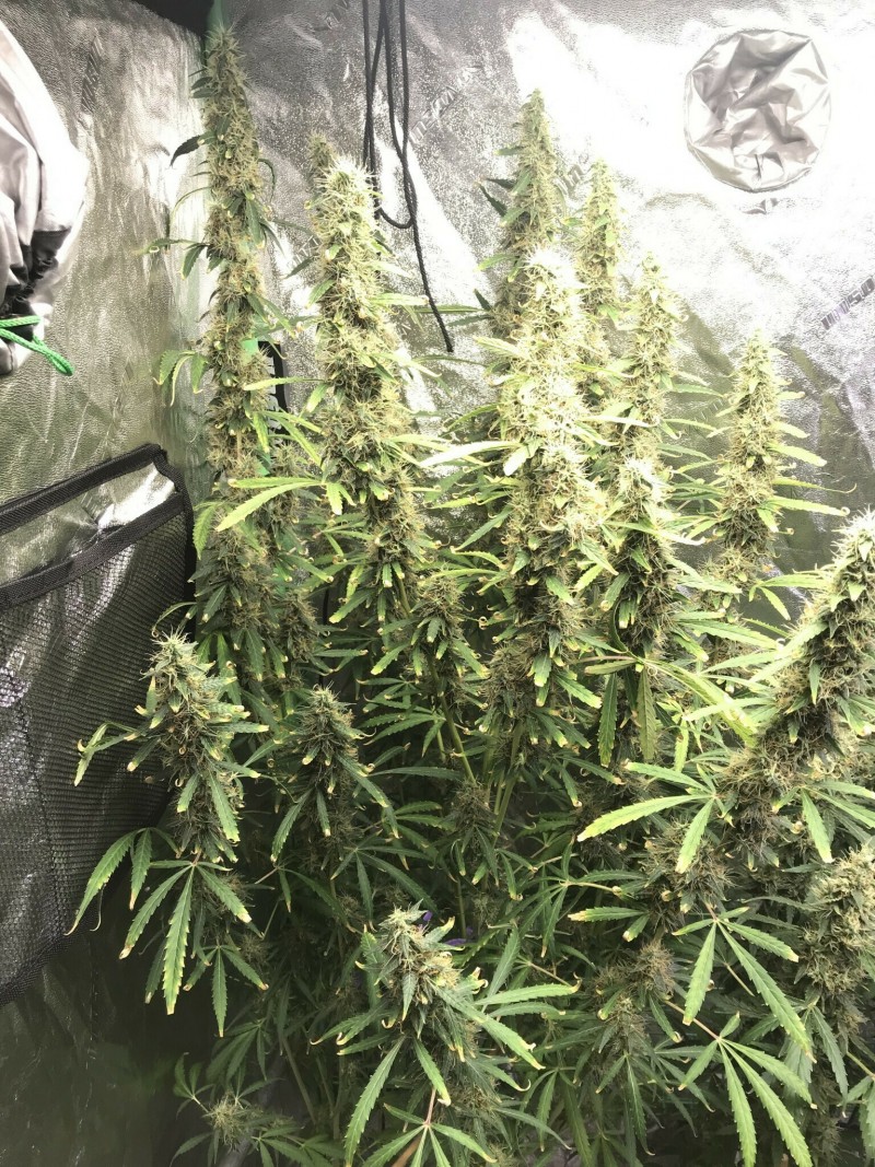 14FB17B8-C521-48CA-94F6-E7081C35CA15