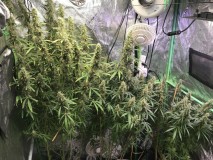 3E3B8445-64B5-4A47-A214-112659F2AC3A