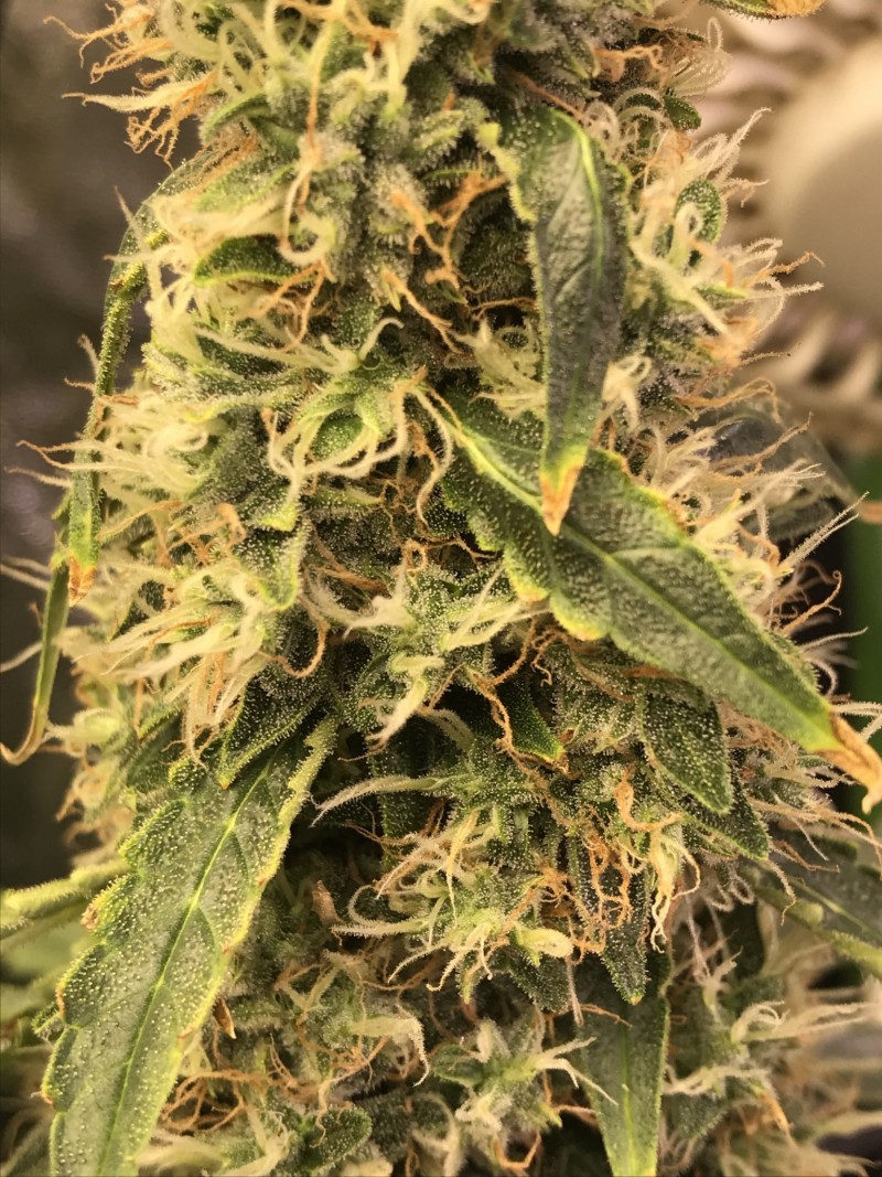 83D82A42-F14A-4DF9-9BE3-1572A0AFFE66