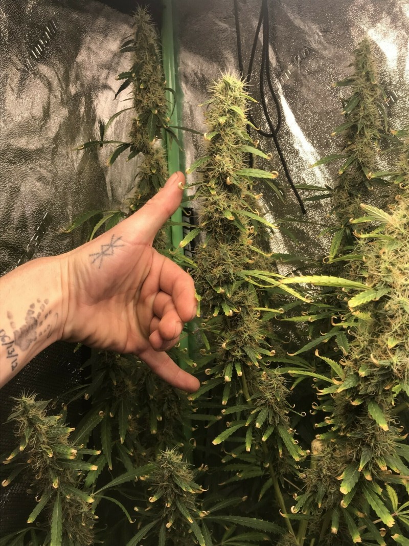 F3444E1F-48E0-471D-BE89-56D6C6768E92