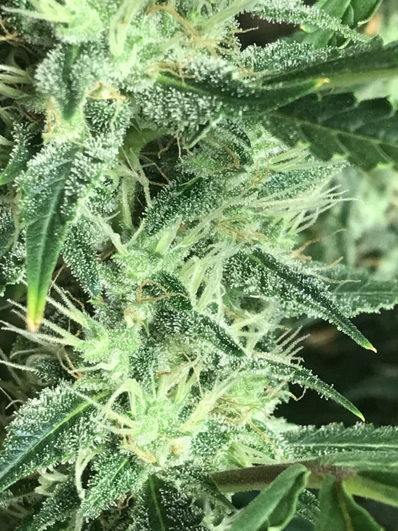 1D695586-8DCA-476E-BB97-F1AFE116FE84