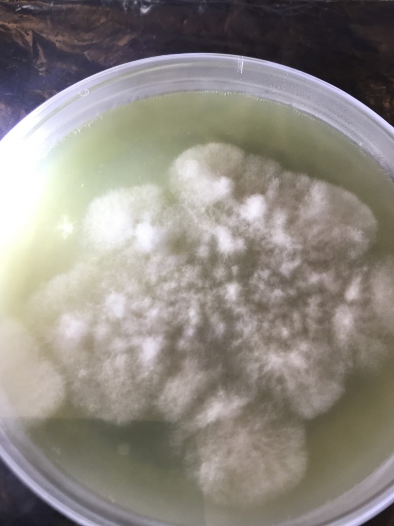 994DB67B-D01A-4D08-B4BF-69728ACD677E