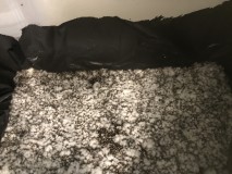 7D7B623B-F34F-4D45-BCF2-376CA03AA4A8