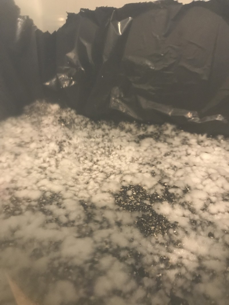 784BA1B8-1E58-4432-B666-50419F5F4CDC