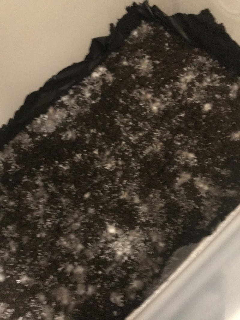 6F9CA981-2DBA-4C1F-B2F1-44E71D73E251