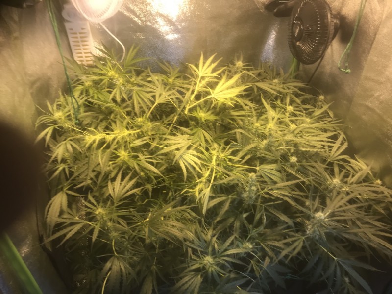 F1CC4CBE-8042-4F9A-967B-CCCF3C7B347C