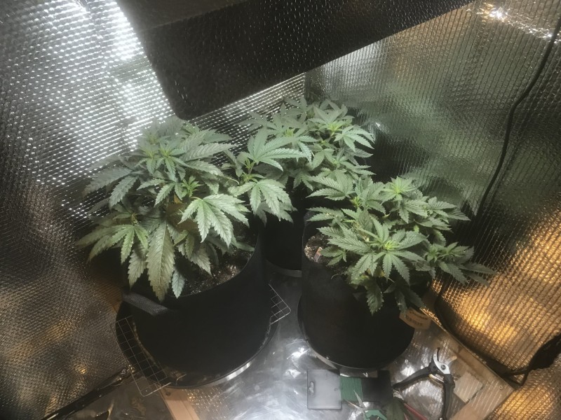 7FFC9F10-A786-4683-953B-AB60FBEDC4F1