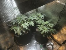 7FFC9F10-A786-4683-953B-AB60FBEDC4F1