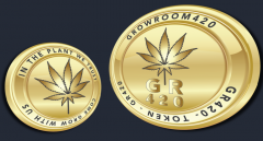 Screenshot 2021-12-27 10.38.47